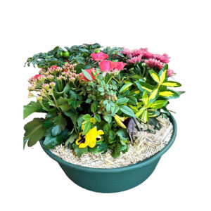 Coupe de plantes (CDP2 - Ø 35 cm)