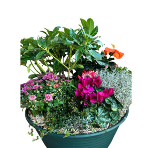 Coupe de plantes (CDP3 - Ø 45 cm)