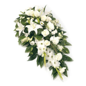 Raquette blanche (RA3 - env. 1,50 m)